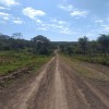 Thumbnail 11 ha EN  SAPUCAI, PARAGUARI0