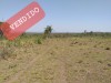 Thumbnail 11 ha EN  SAPUCAI, PARAGUARI0